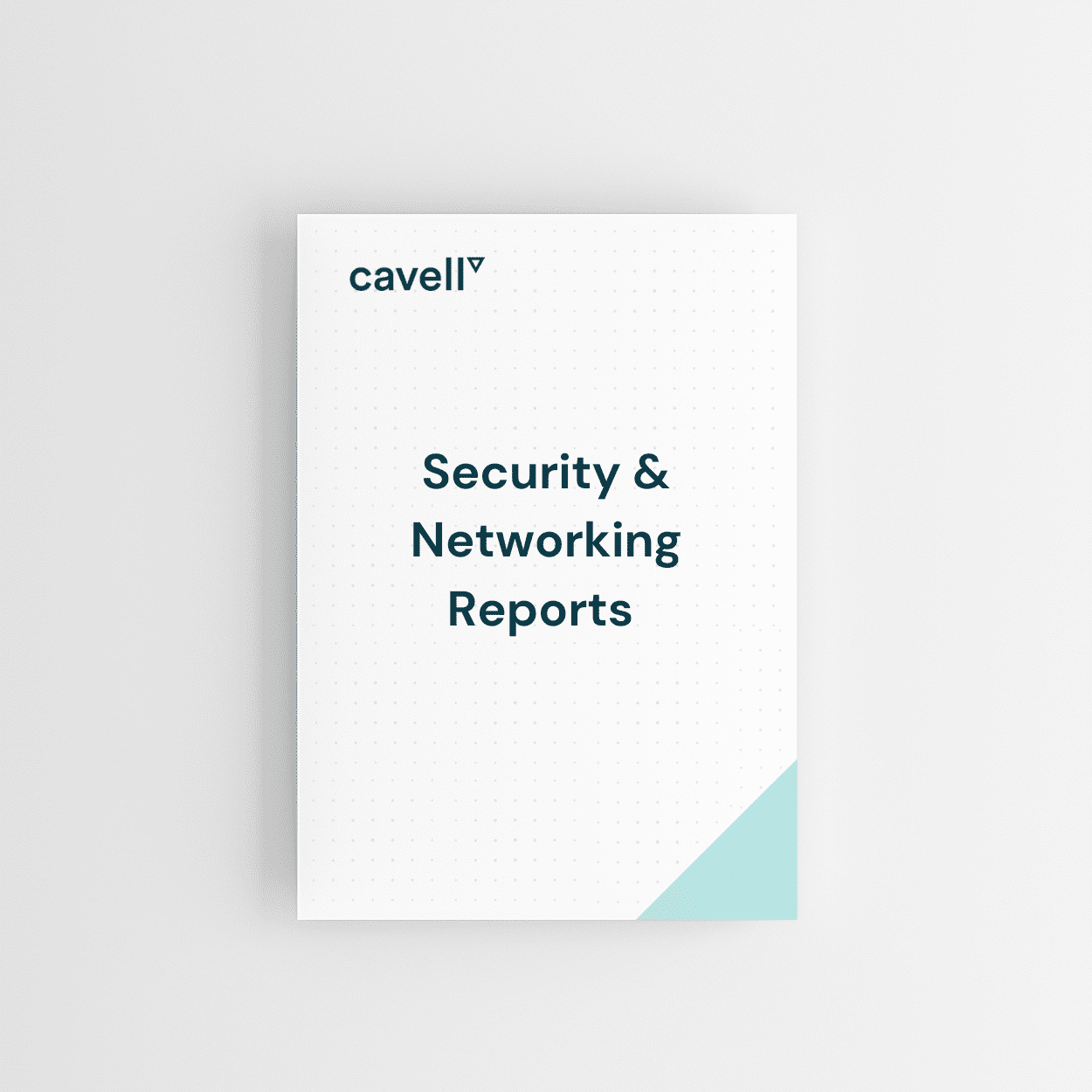 Cavell Security & Networking Reports